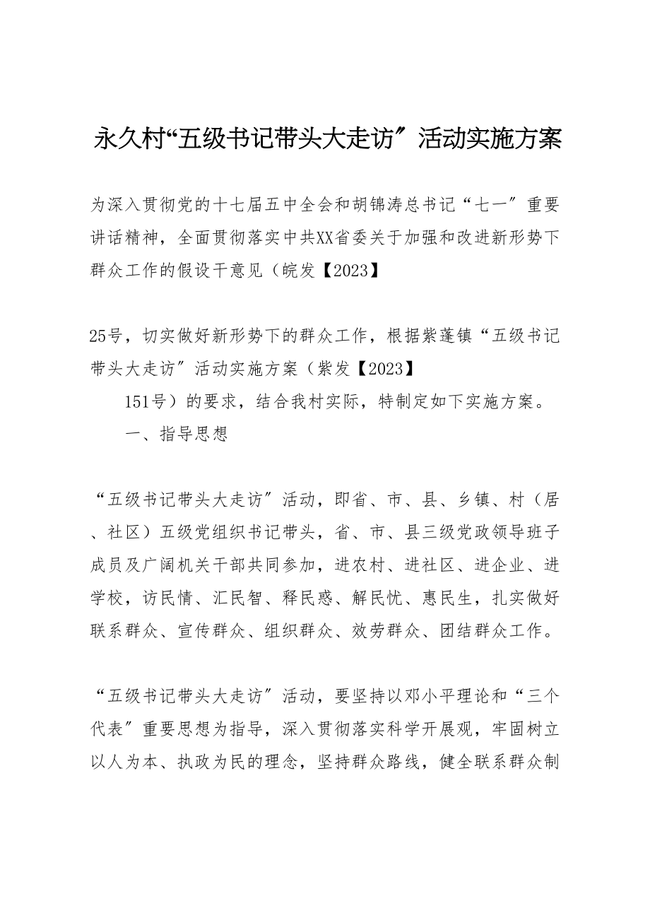 2023年永久村五级书记带头大走访活动实施方案.doc_第1页