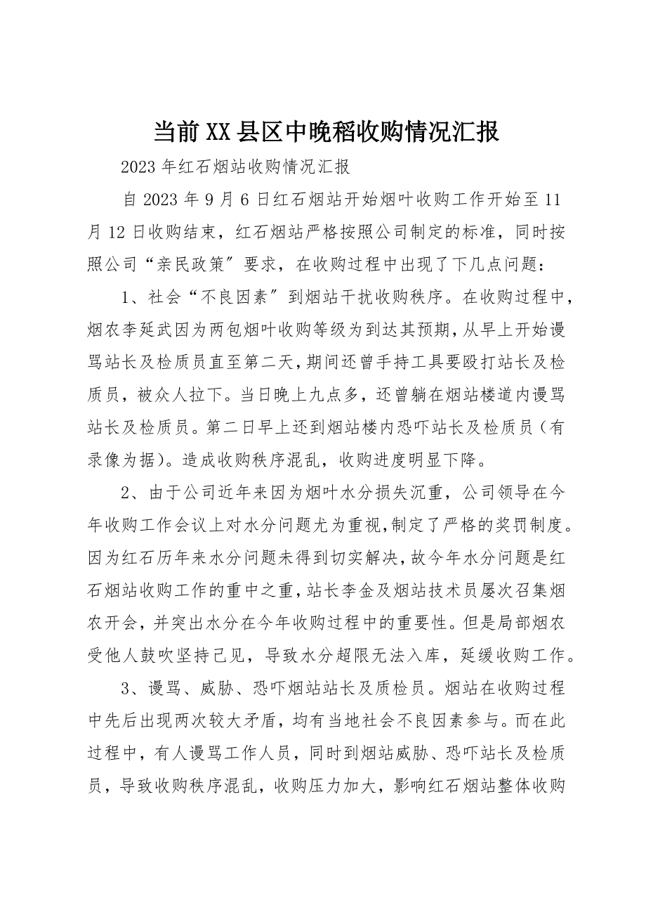 2023年当前XX县区中晚稻收购情况汇报新编.docx_第1页