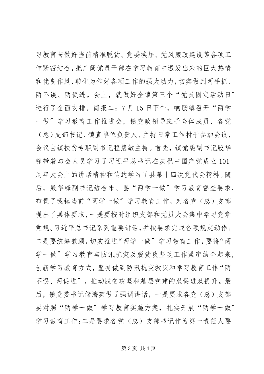 2023年基层“两学一做”学习教育工作推进会简讯.docx_第3页