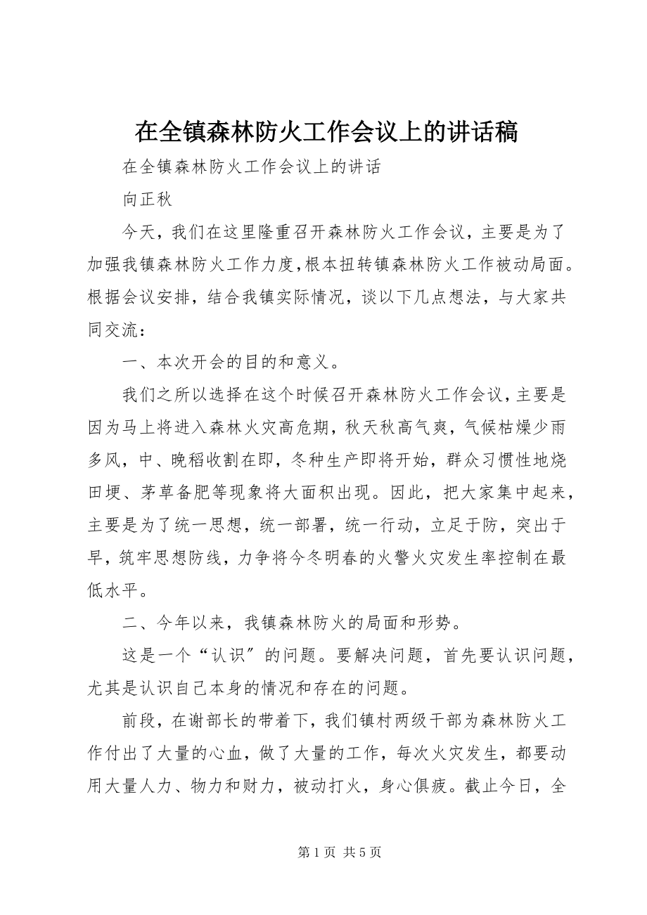 2023年在全镇森林防火工作会议上的致辞稿.docx_第1页