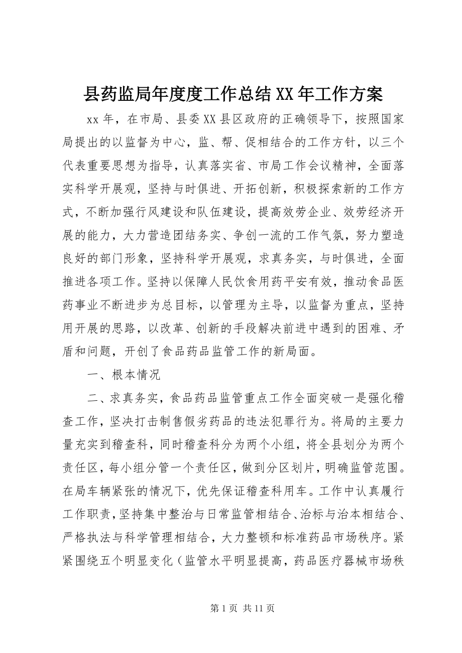 2023年县药监局年度度工作总结工作计划.docx_第1页