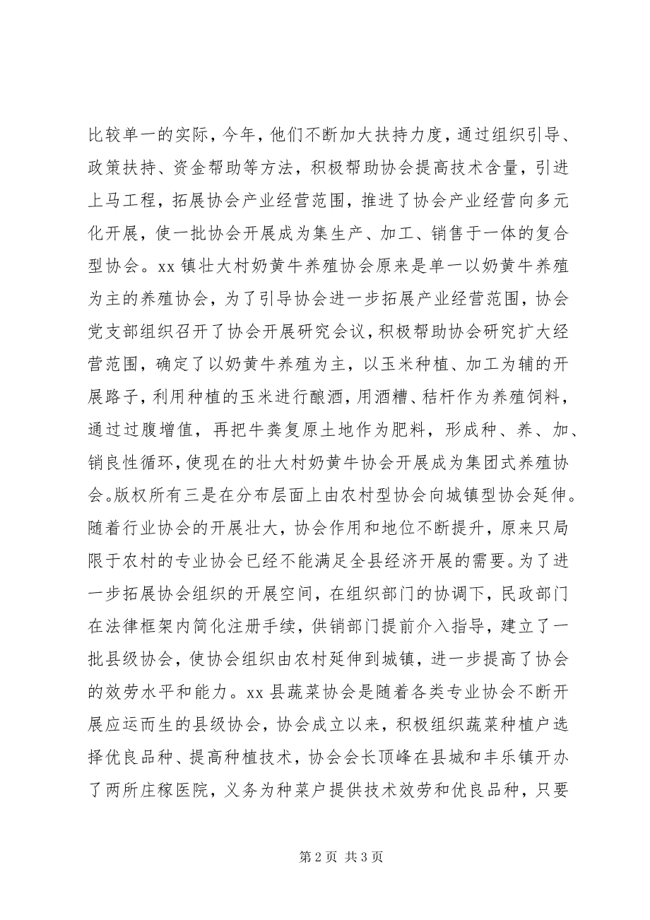 2023年发挥党组织政治核心作用培强做大各类专业协会.docx_第2页