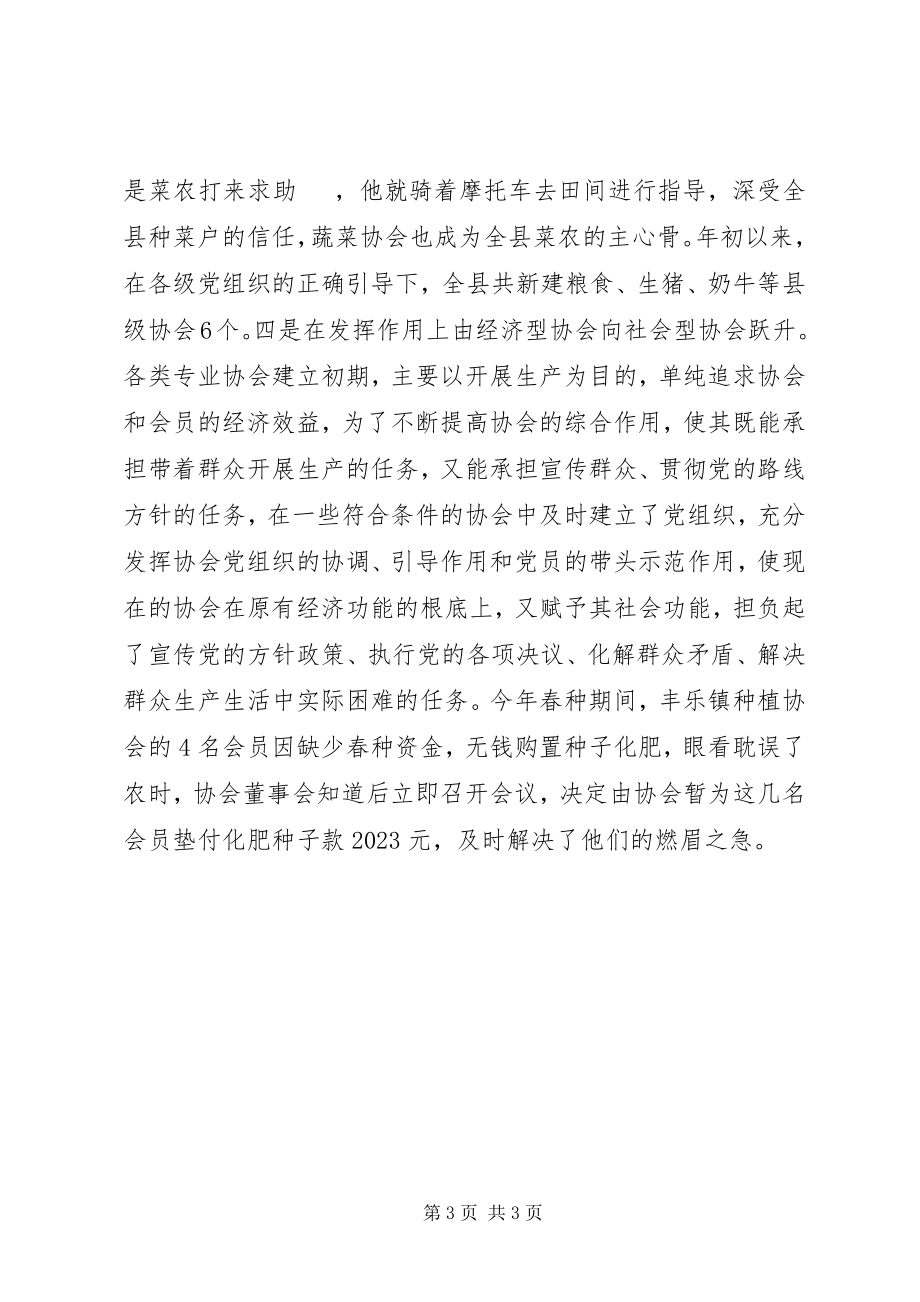 2023年发挥党组织政治核心作用培强做大各类专业协会.docx_第3页