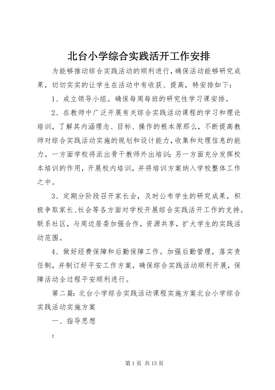 2023年北台小学综合实践活动工作安排新编.docx_第1页