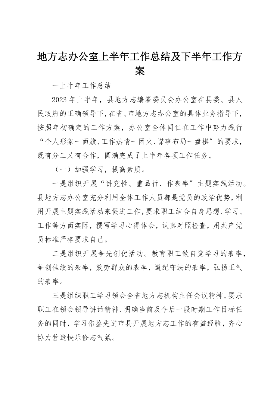 2023年地方志办公室上半年工作总结及下半年工作计划.docx_第1页