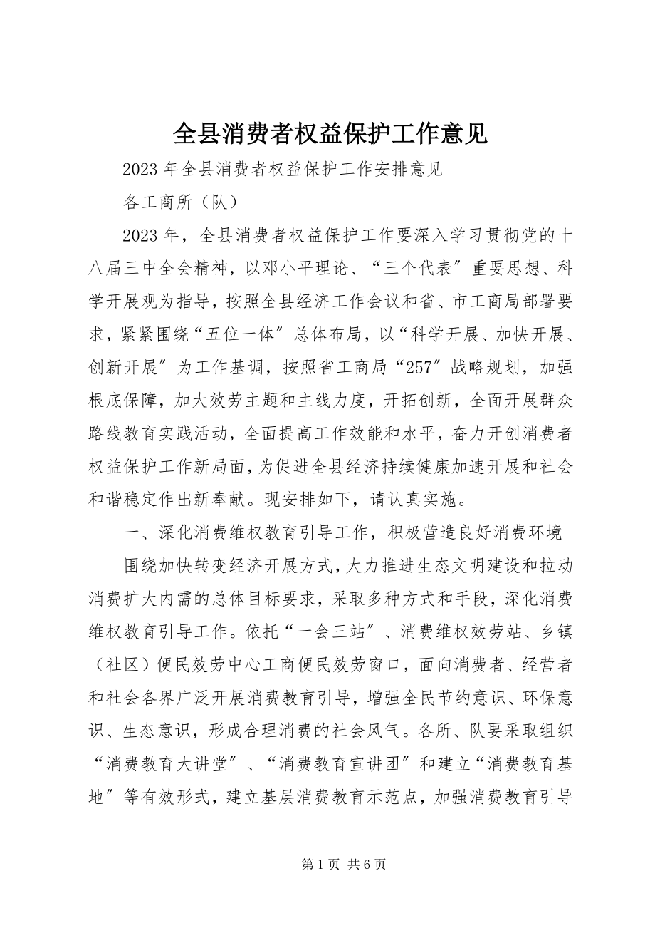 2023年全县消费者权益保护工作意见.docx_第1页