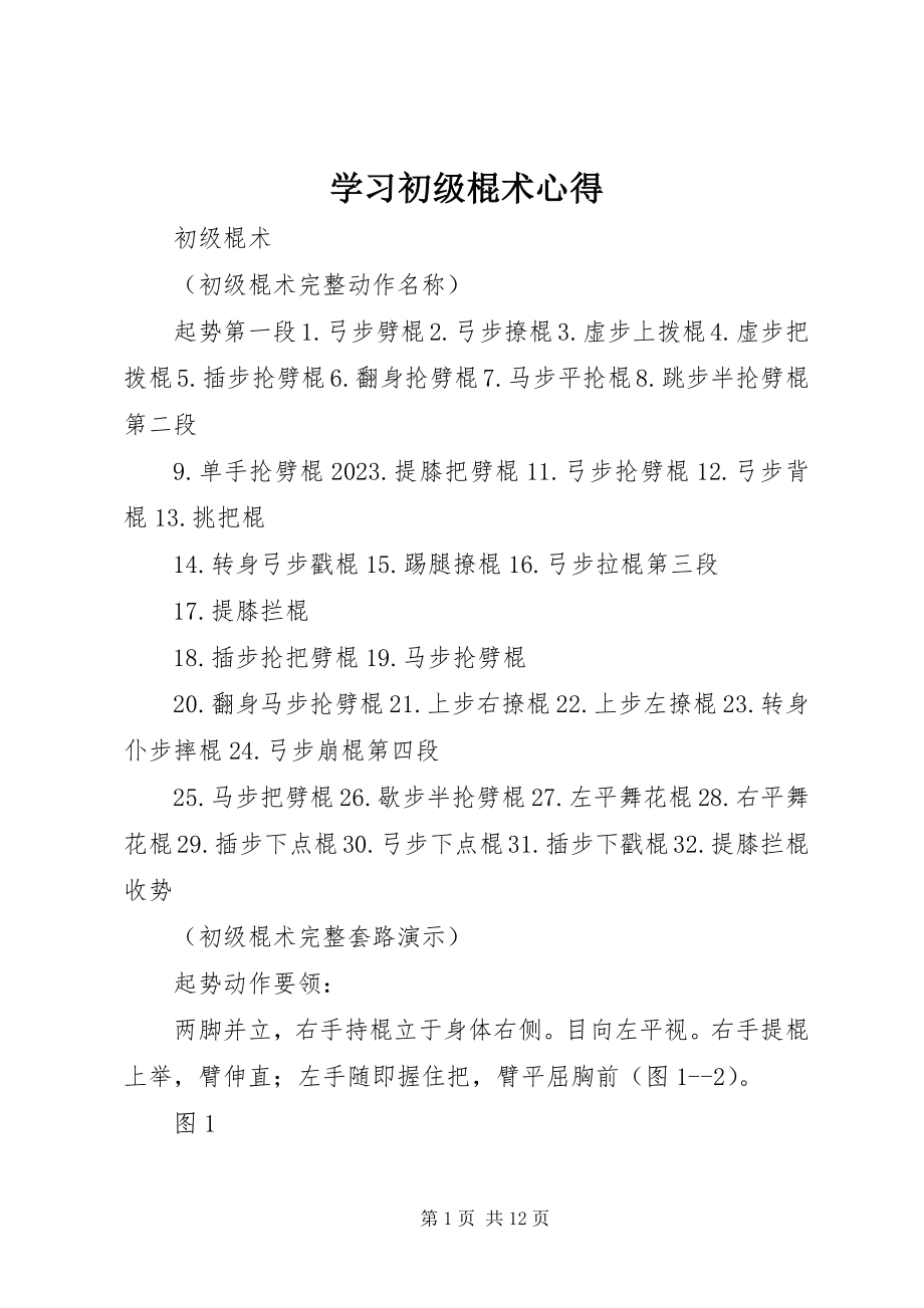 2023年学习初级棍术心得.docx_第1页