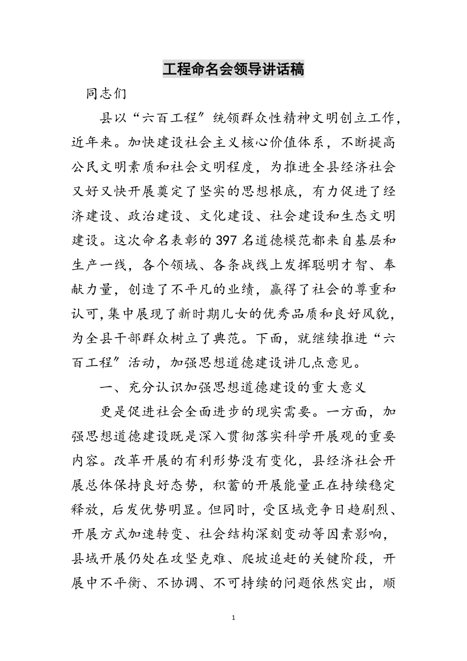 2023年工程命名会领导讲话稿范文.doc_第1页