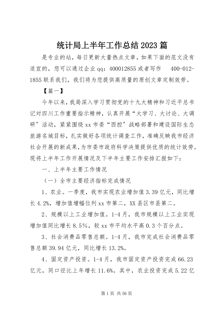 2023年统计局上半年工作总结10篇.docx_第1页