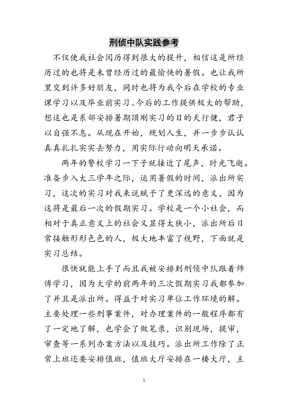 2023年刑侦中队实践参考范文.doc_第1页