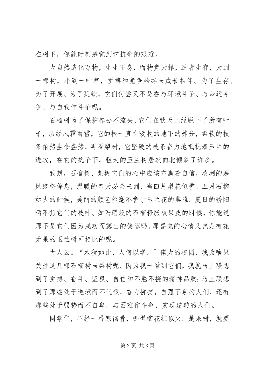 2023年健康运动升旗仪式曹校长致辞稿.docx_第2页