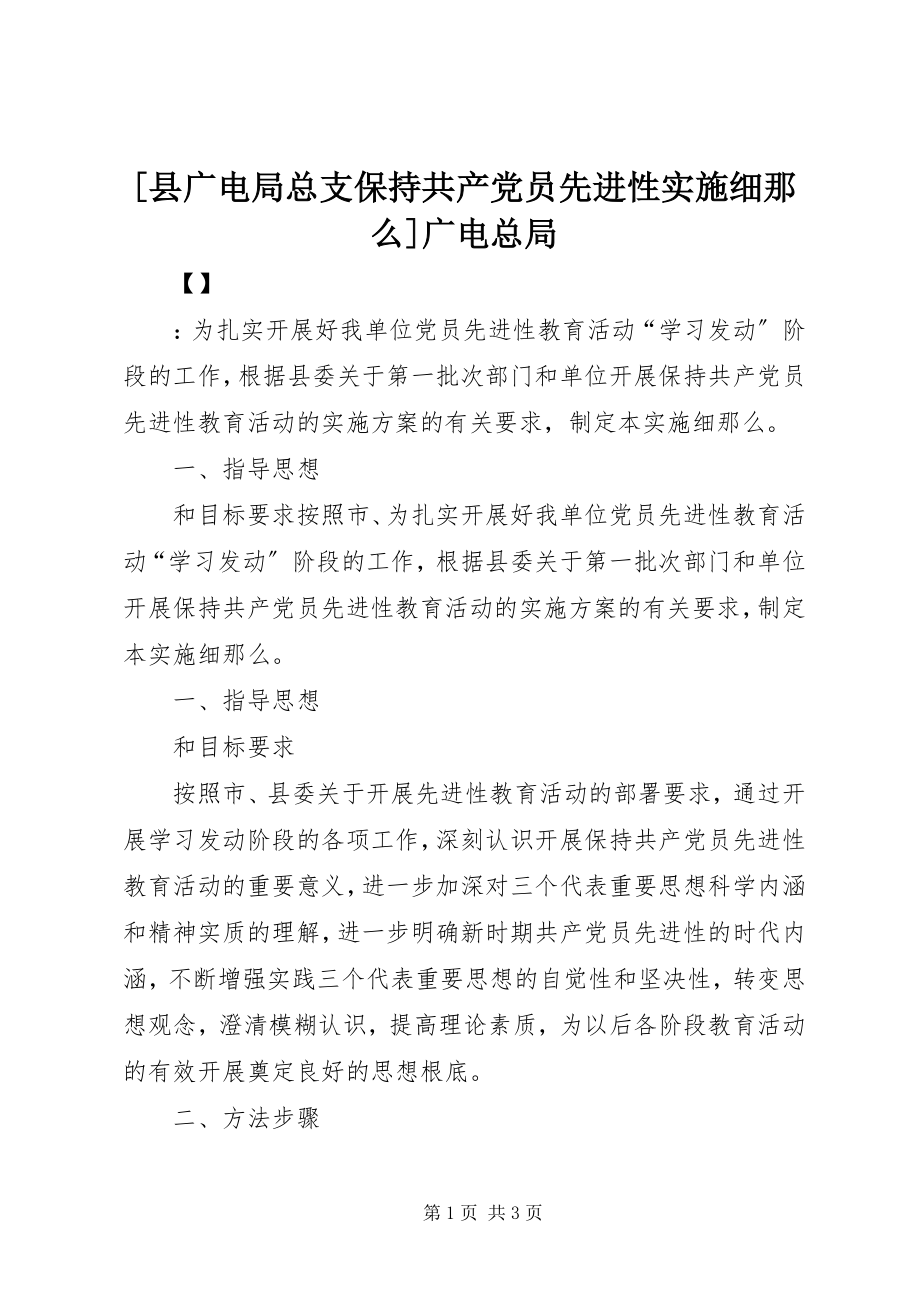 2023年县广电局总支保持共产党员先进性实施细则广电总局新编.docx_第1页