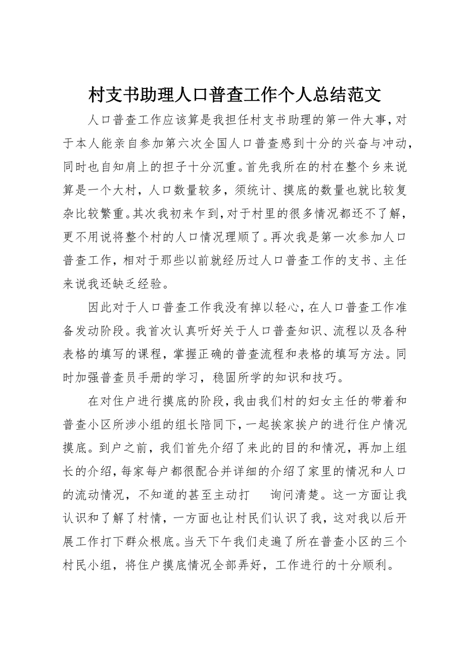 2023年村支书助理人口普查工作个人总结2新编.docx_第1页