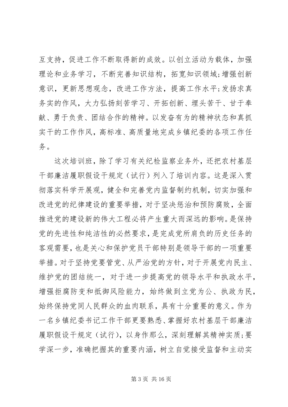 2023年乡镇纪委书记培训心得体会.docx_第3页