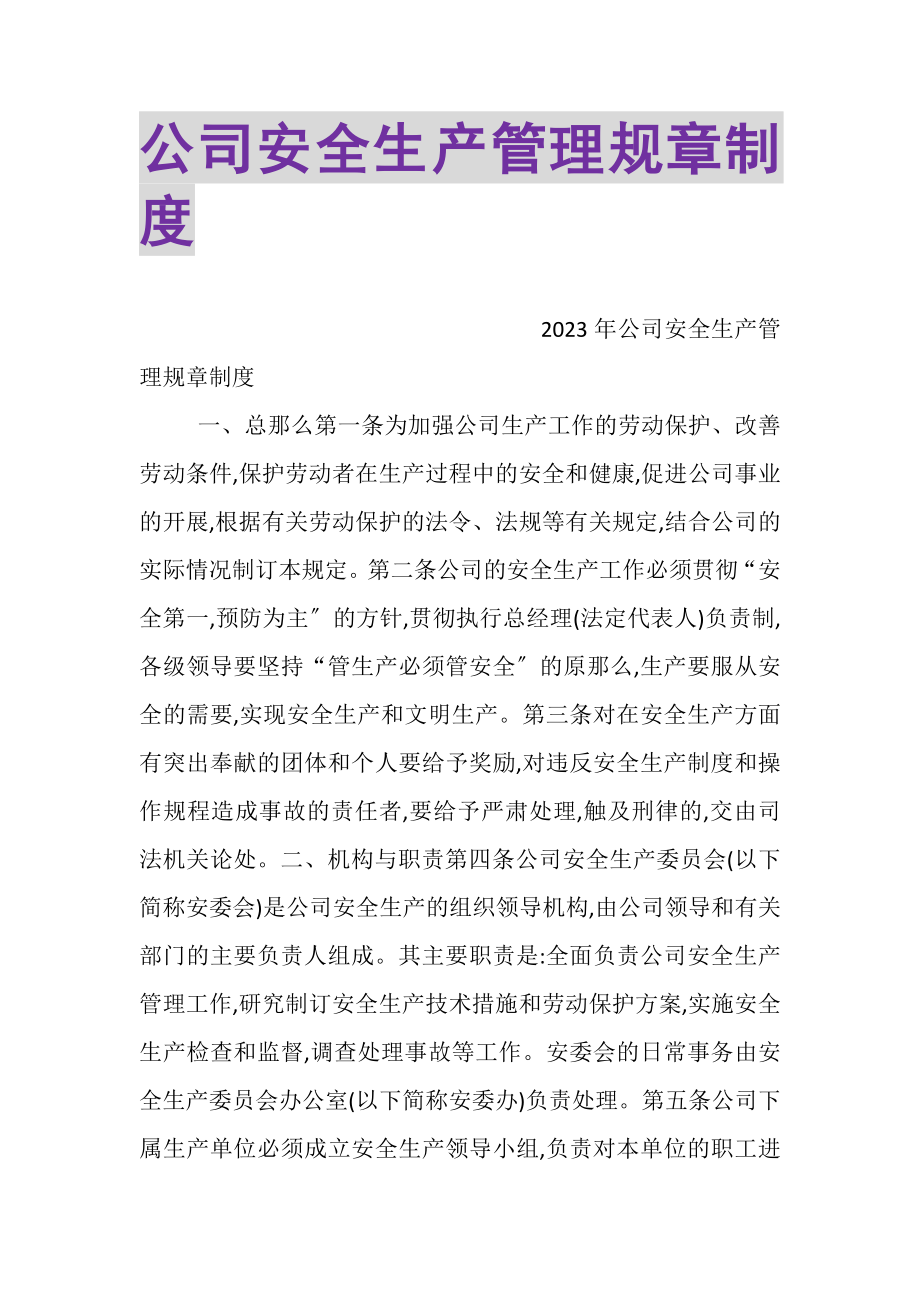 2023年公司安全生产管理规章制度.doc_第1页