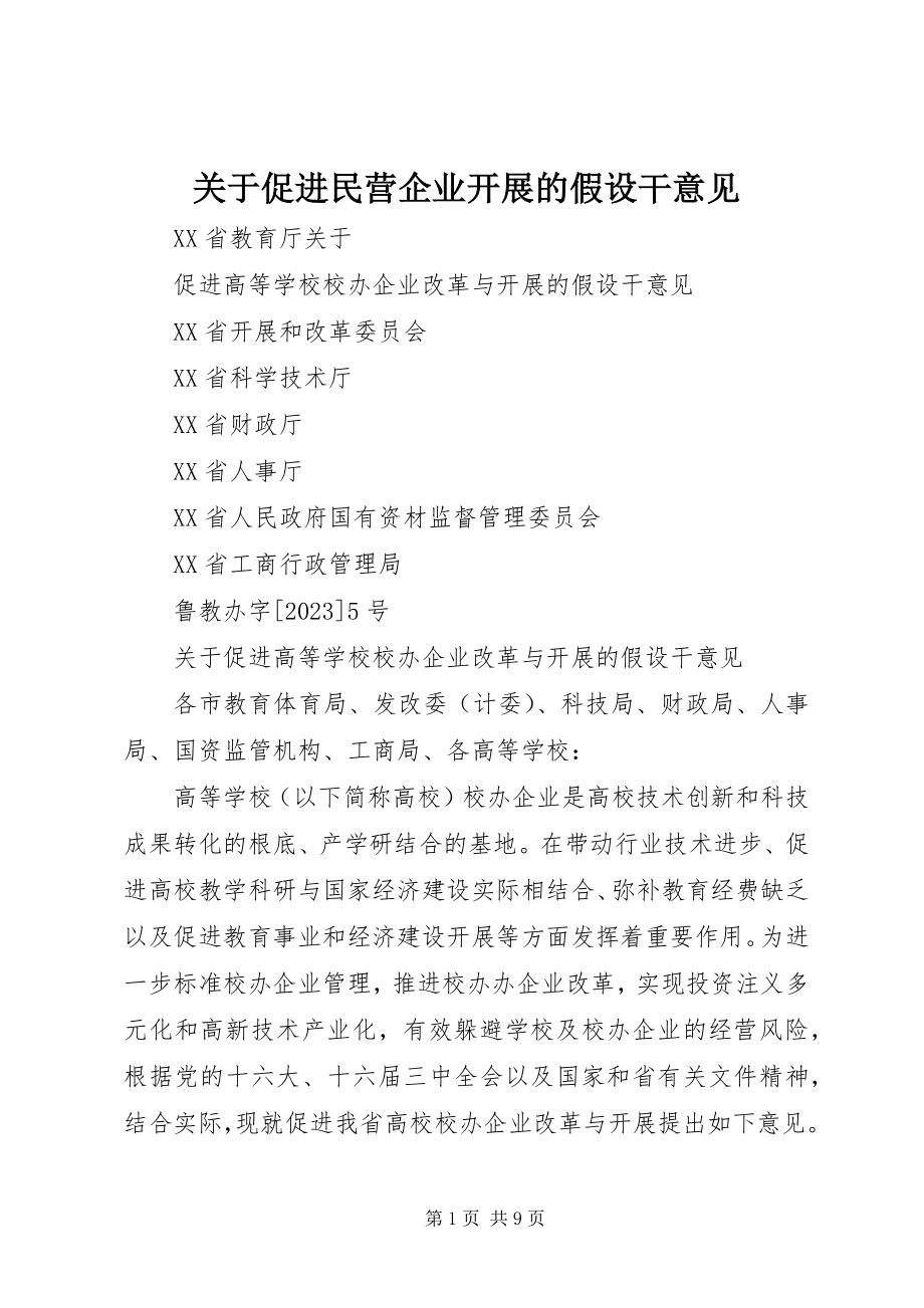 2023年促进民营企业发展的若干意见.docx_第1页