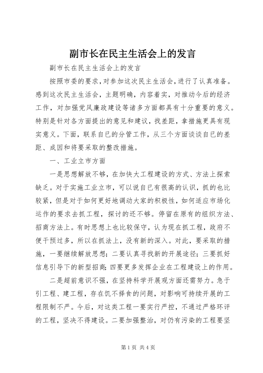 2023年副市长在民主生活会上的讲话.docx_第1页