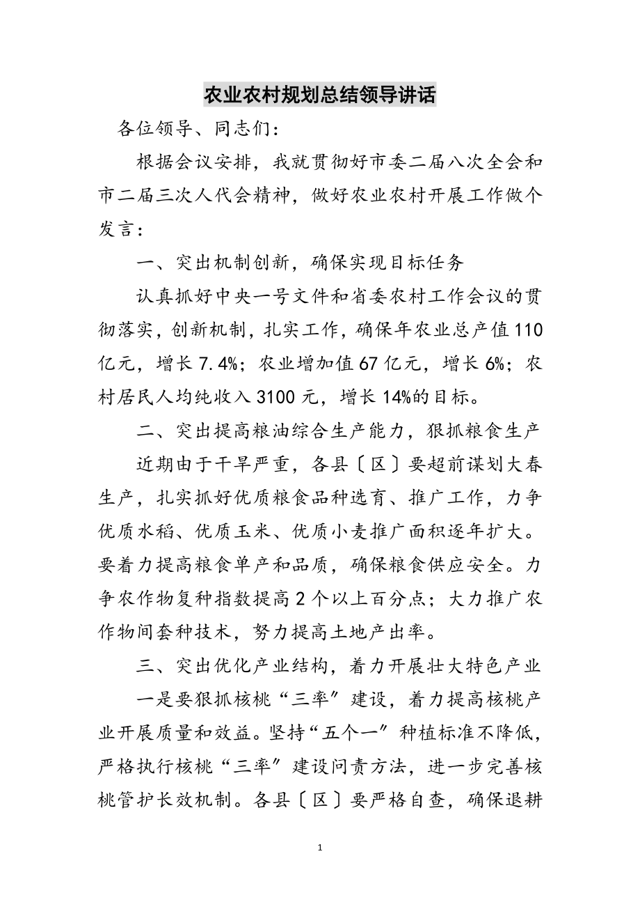 2023年农业农村规划总结领导讲话范文.doc_第1页