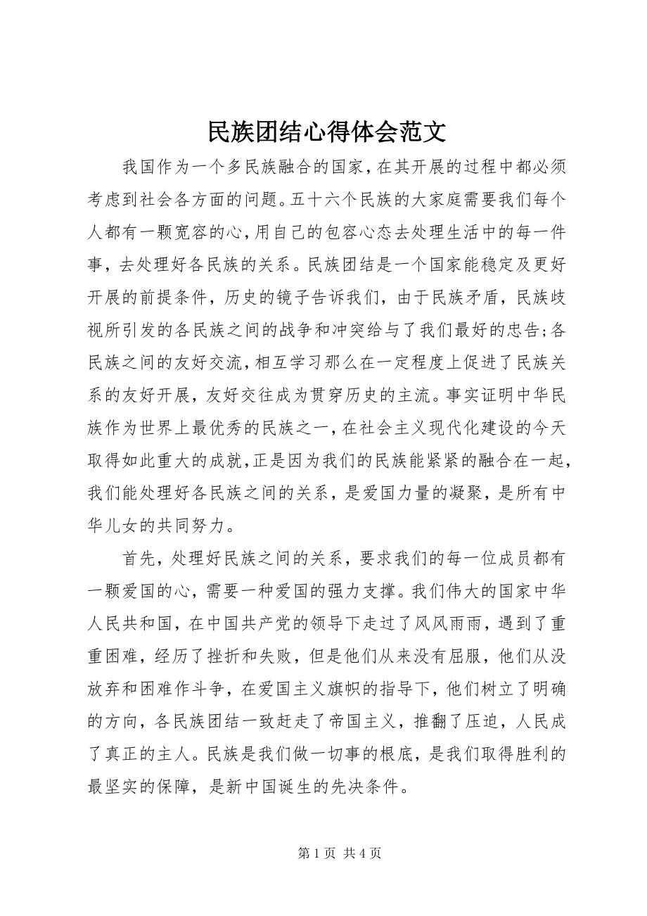 2023年民族团结心得体会4.docx_第1页