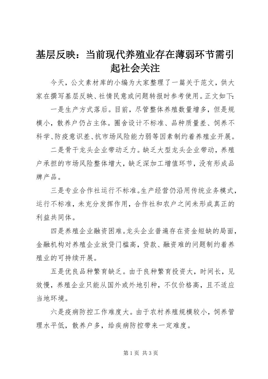 2023年基层反映当前现代养殖业存在薄弱环节需引起社会关注.docx_第1页