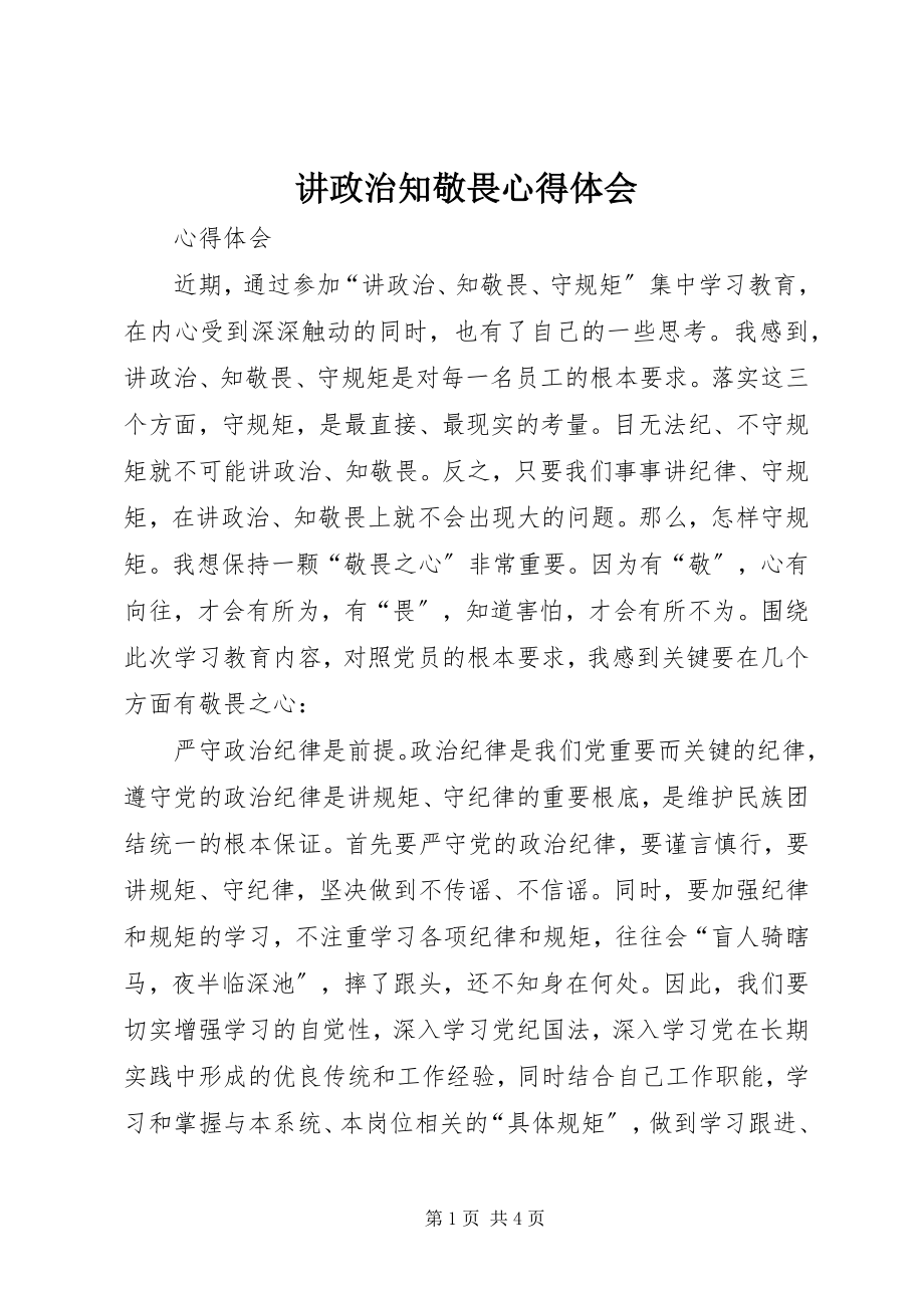 2023年讲政治知敬畏心得体会.docx_第1页