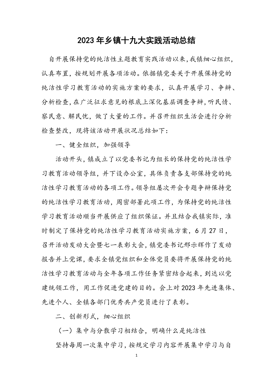 2023年乡镇十九大实践活动总结.docx_第1页