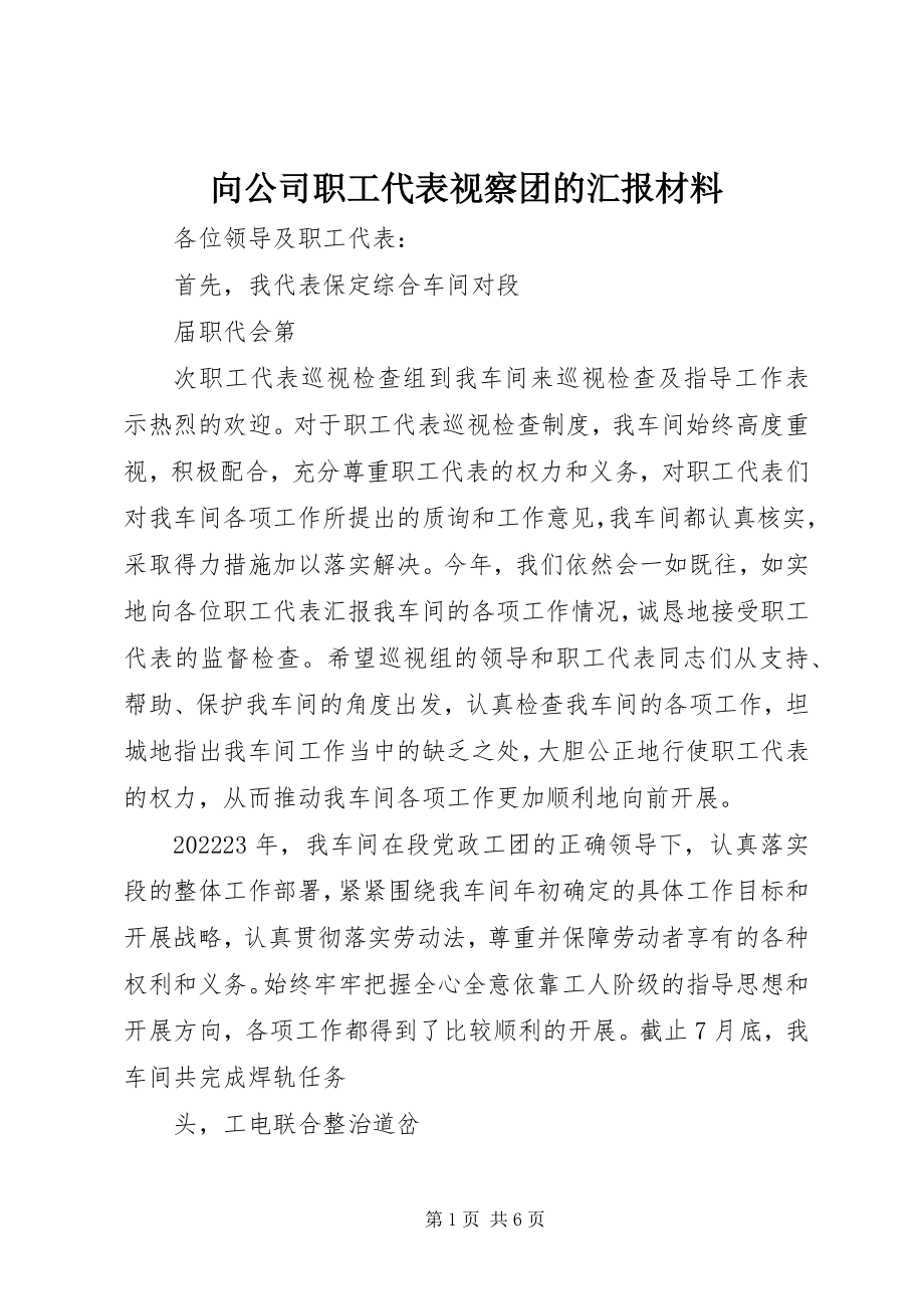 2023年向公司职工代表视察团的汇报材料.docx_第1页