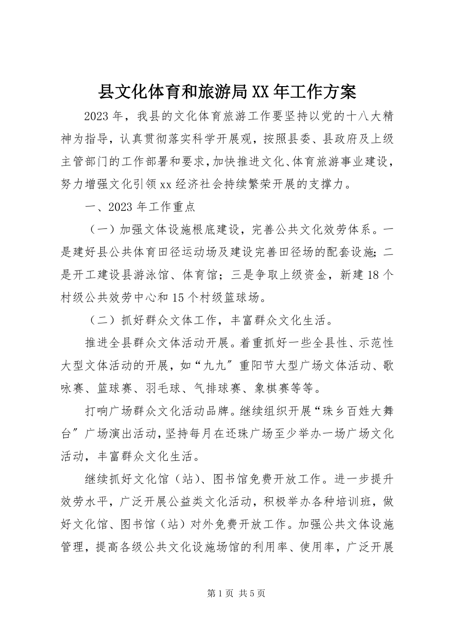 2023年县文化体育和旅游局工作计划.docx_第1页