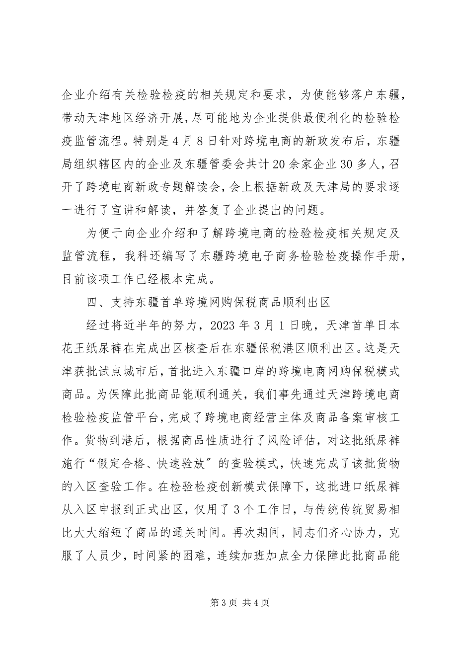 2023年特殊监管区域工作总结.docx_第3页