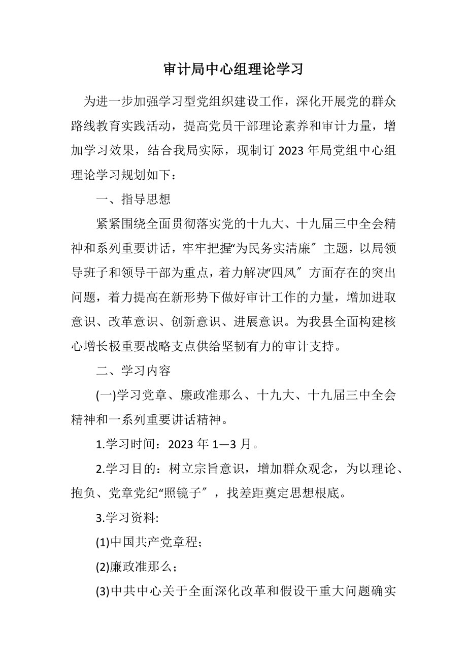 2023年审计局中心组理论学习计划.docx_第1页