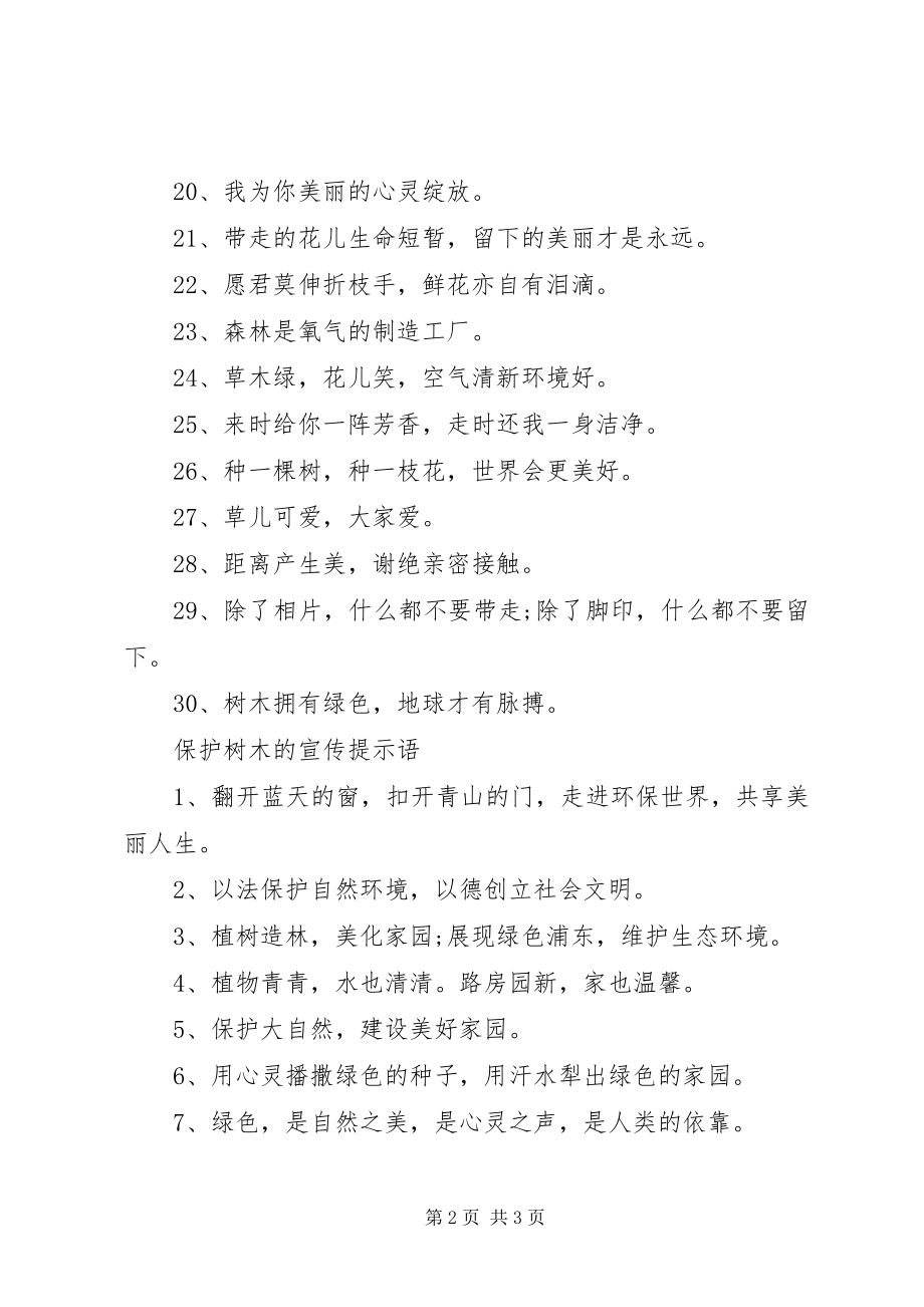 2023年爱护树木的提示语是什么新编.docx_第2页