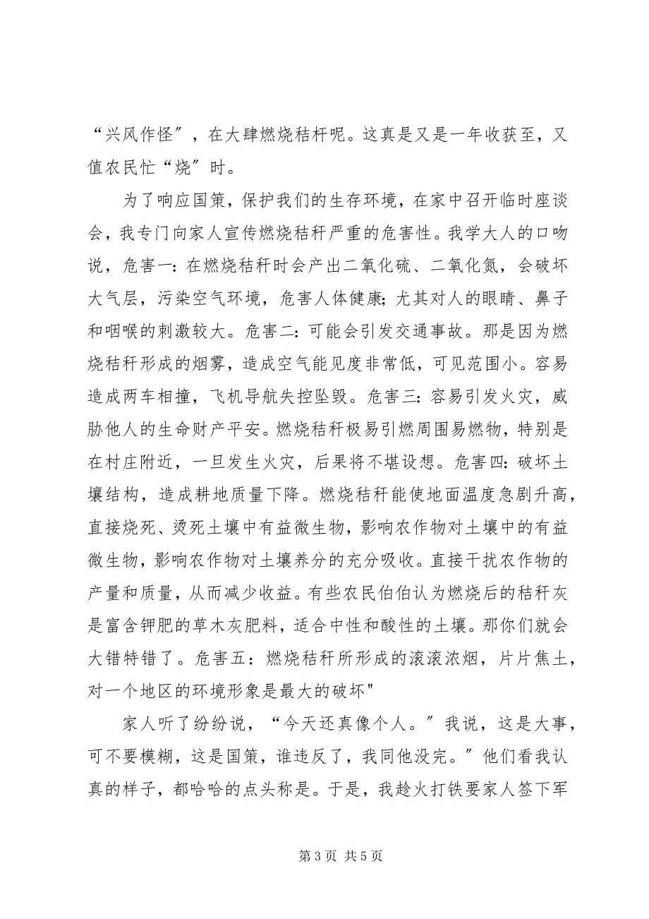 2023年焚烧秸秆承诺书.docx_第3页