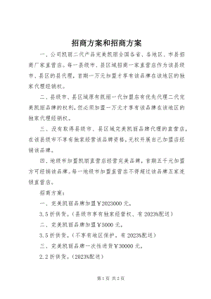 2023年招商计划和招商方案.docx