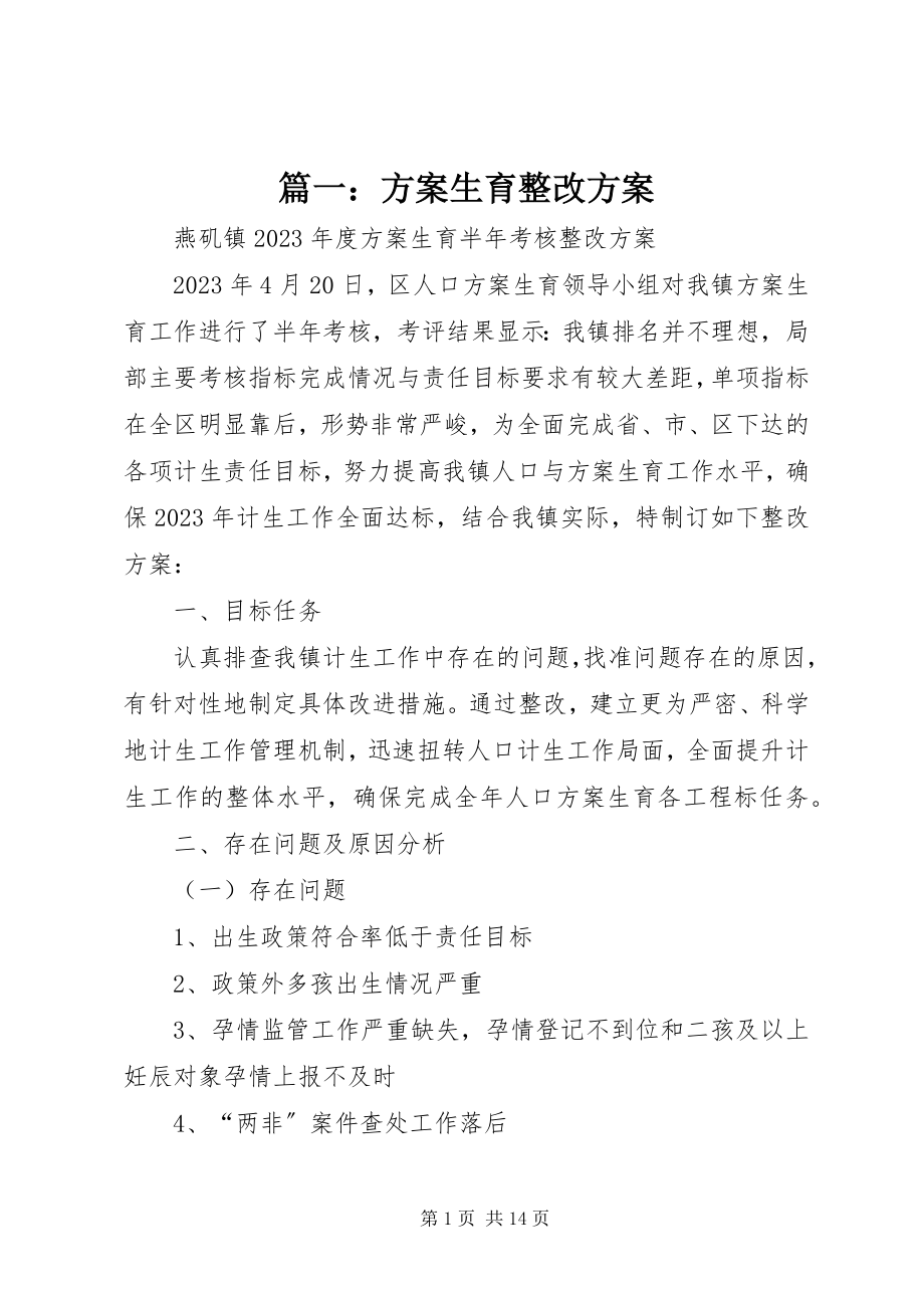 2023年计划生育整改方案.docx_第1页