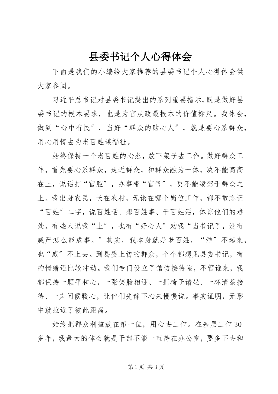 2023年县委书记个人心得体会.docx_第1页