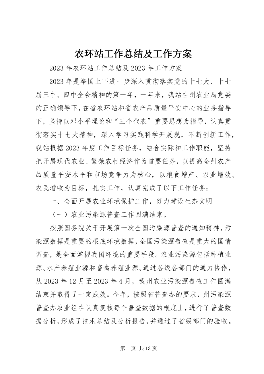 2023年农环站工作总结及工作计划.docx_第1页