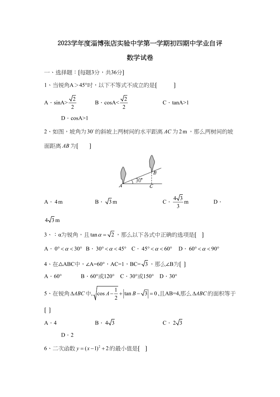 2023年度淄博张店实验第一学期初四期业自评初中数学.docx_第1页