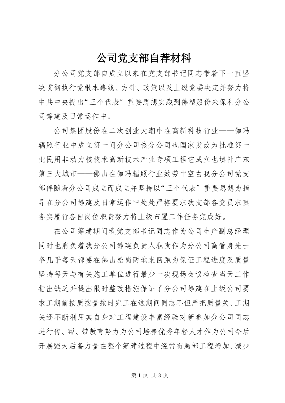 2023年公司党支部自荐材料.docx_第1页