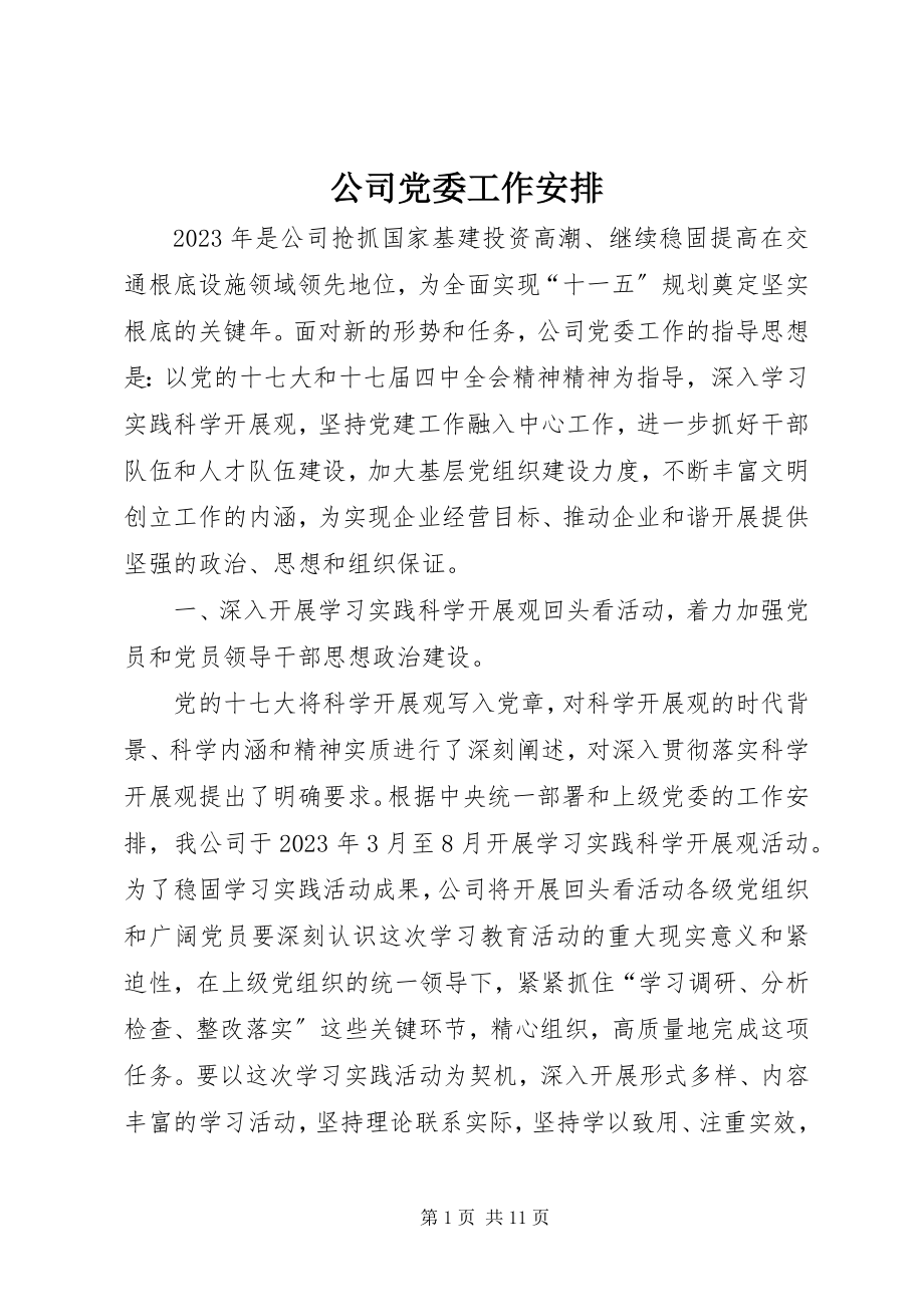 2023年公司党委工作安排.docx_第1页