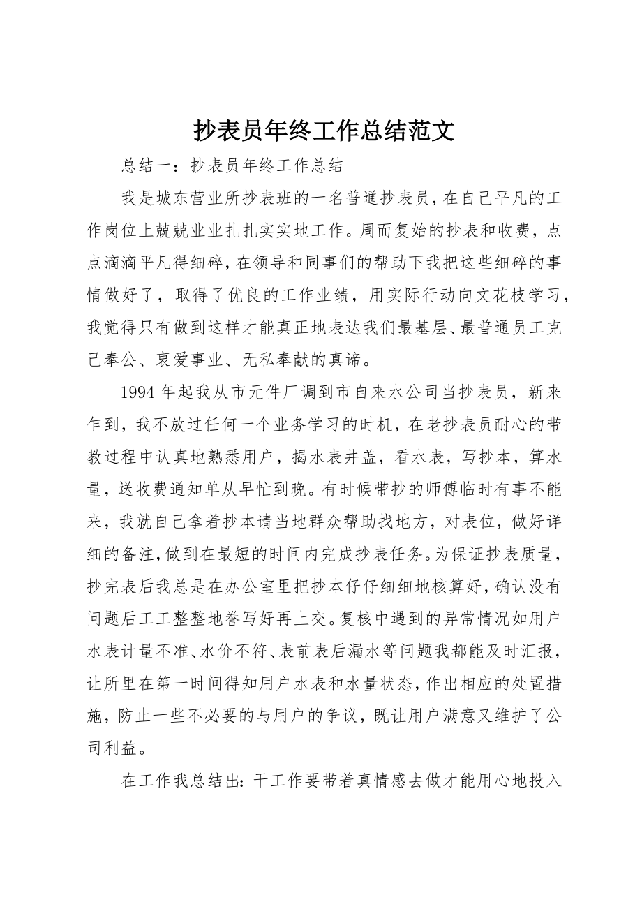 2023年抄表员年终工作总结新编.docx_第1页