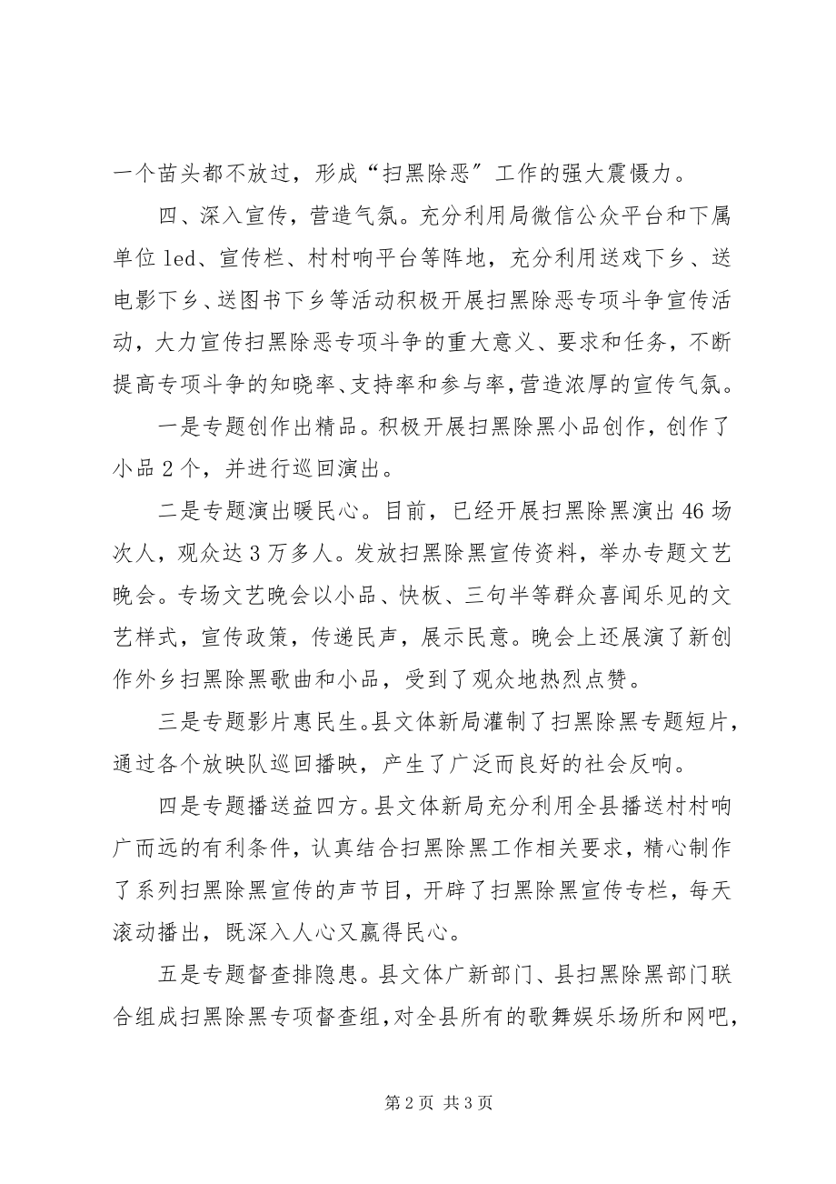 2023年文体广新局扫黑除恶专项斗争工作总结.docx_第2页