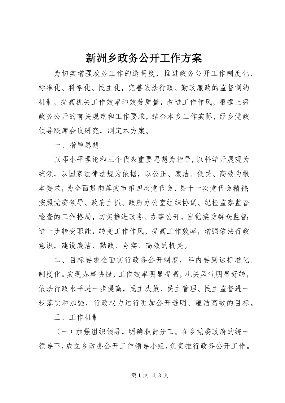 2023年新洲乡政务公开工作计划.docx_第1页