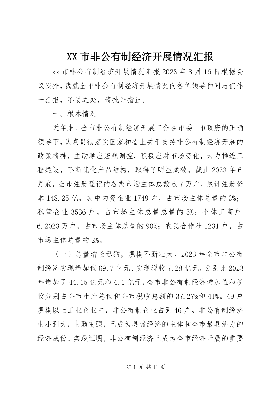 2023年XX市非公有制经济发展情况汇报新编.docx_第1页