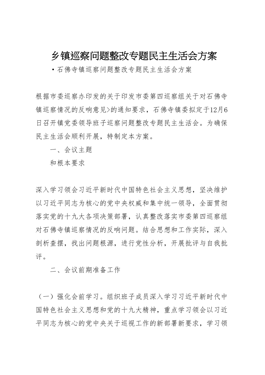 2023年乡镇巡察问题整改专题民主生活会方案 .doc_第1页