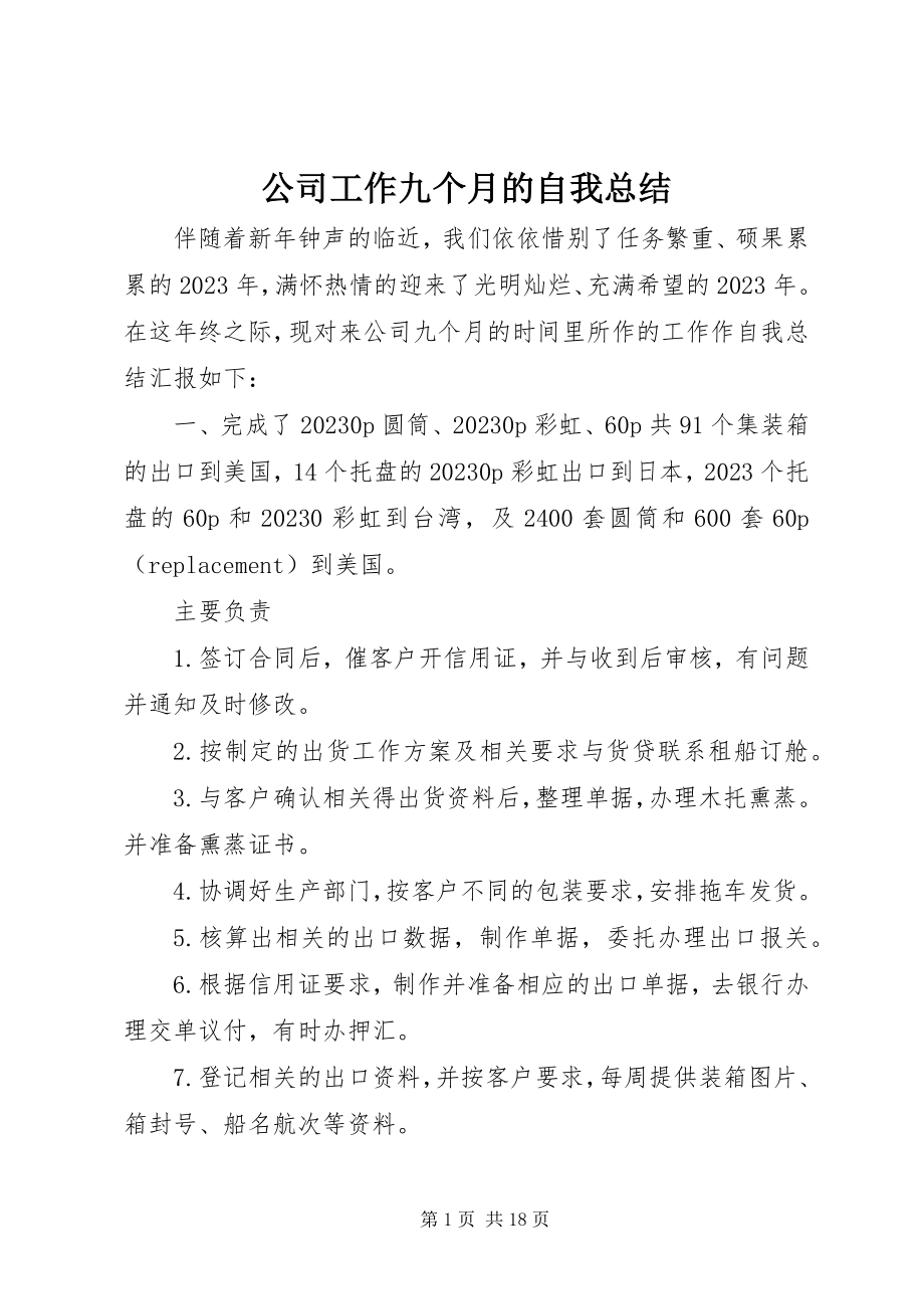 2023年公司工作九个月的自我总结.docx_第1页