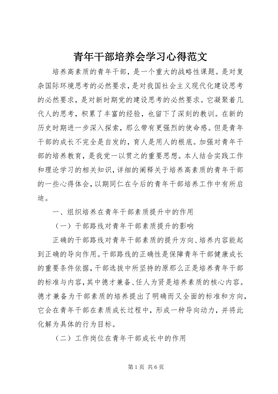 2023年青年干部培养会学习心得.docx_第1页