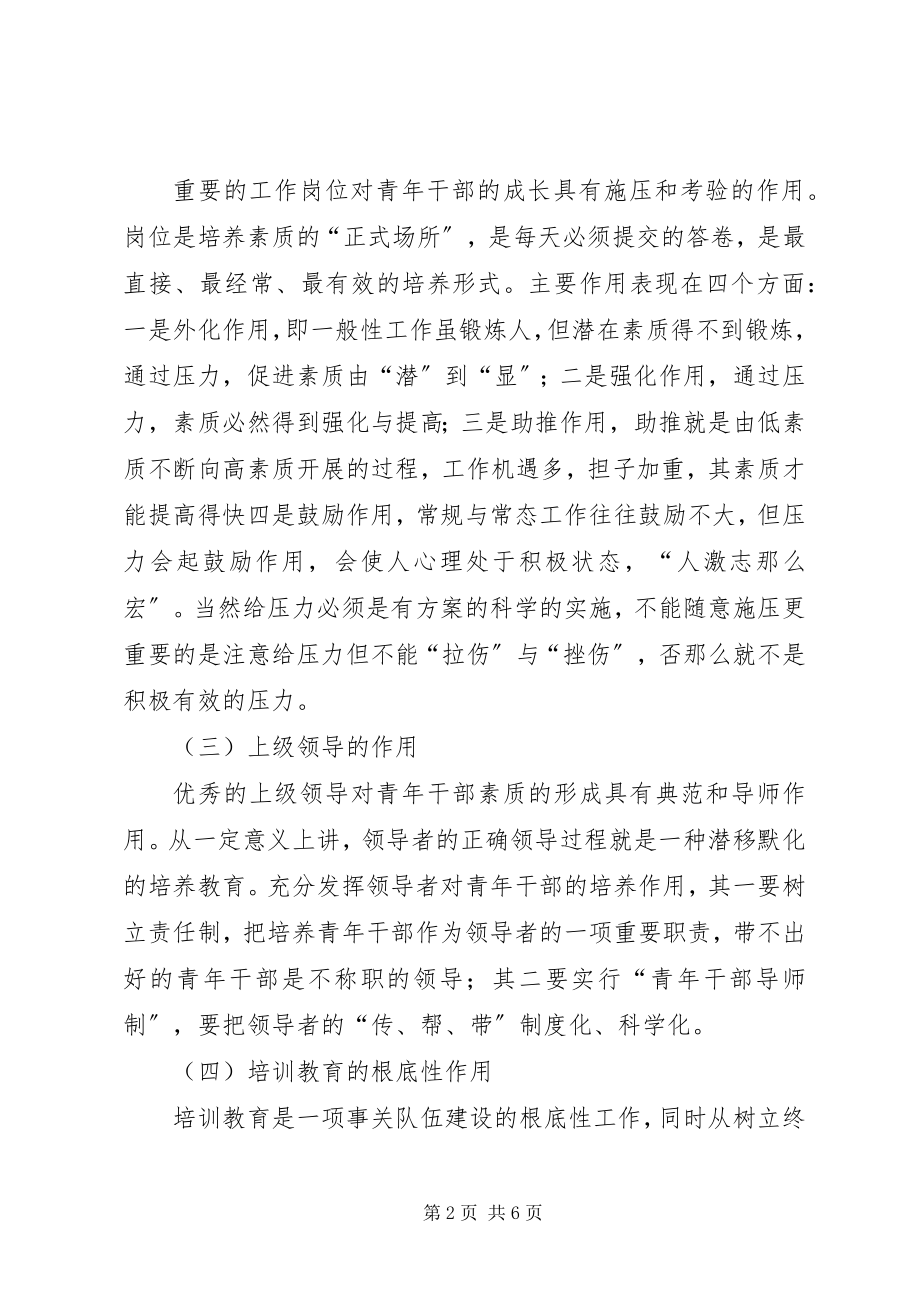 2023年青年干部培养会学习心得.docx_第2页