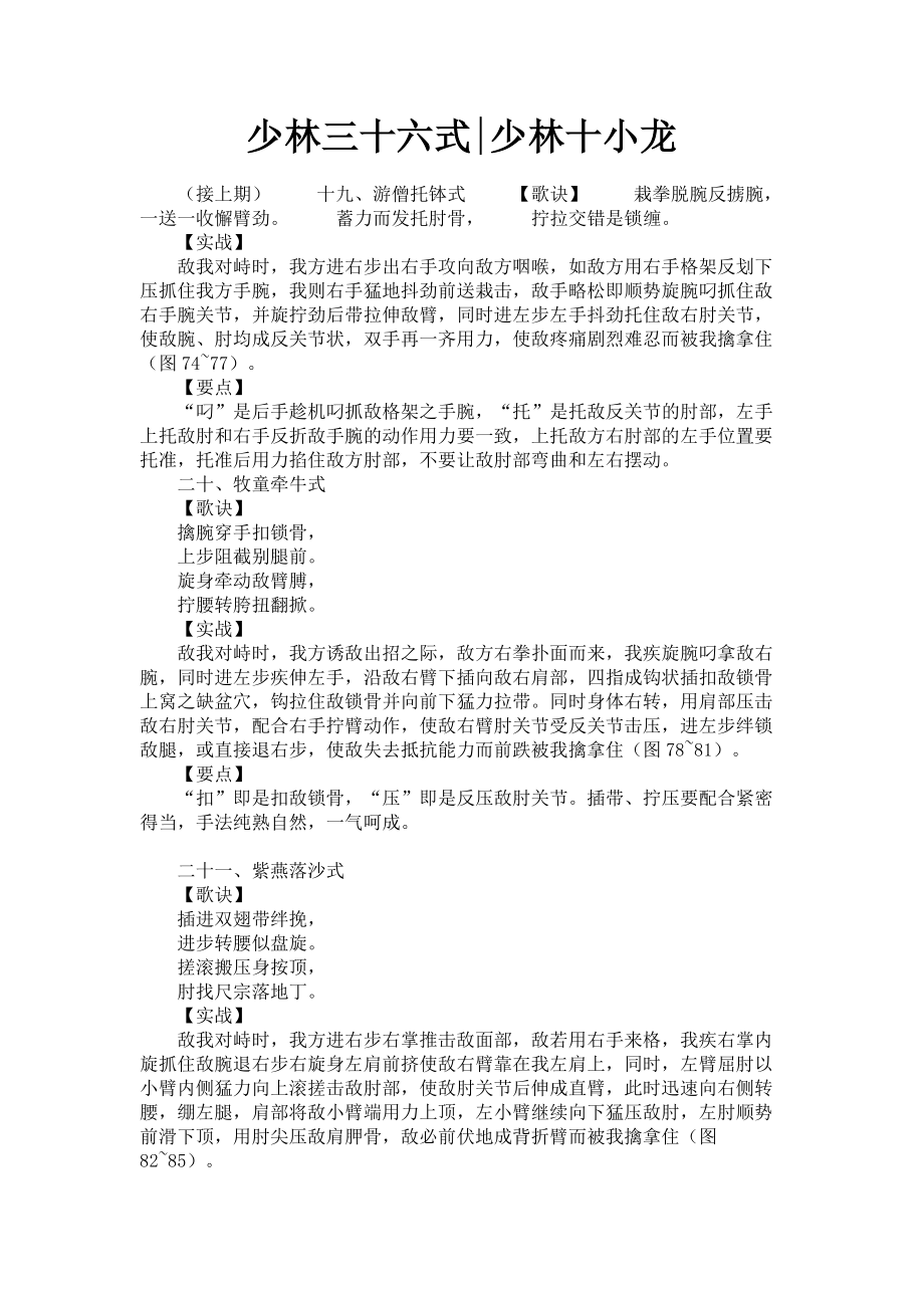 2023年少林三十六式少林十小龙.doc_第1页