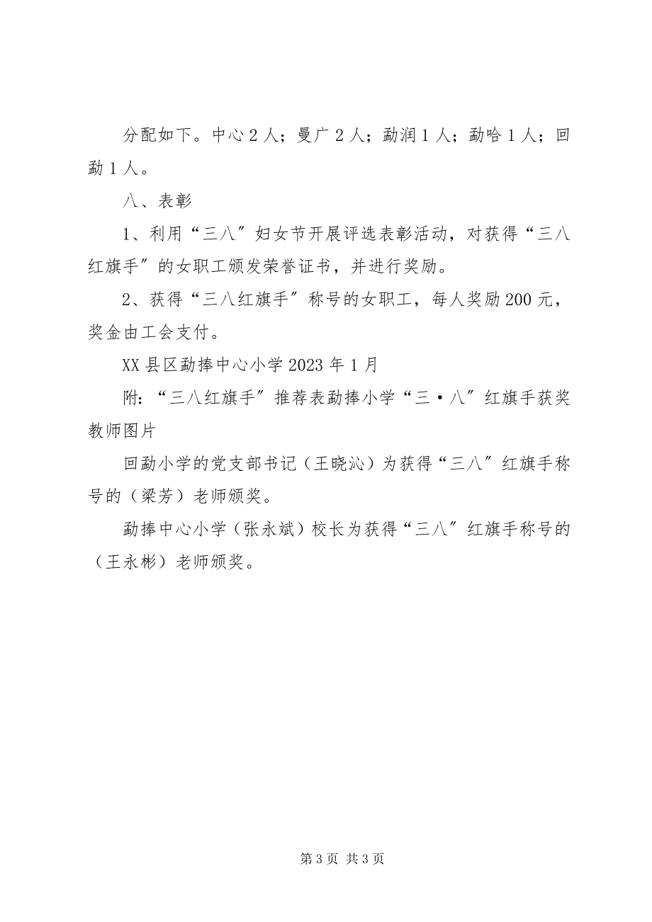 2023年先进党支部优秀党员“三八”红旗手评选标准.docx_第3页