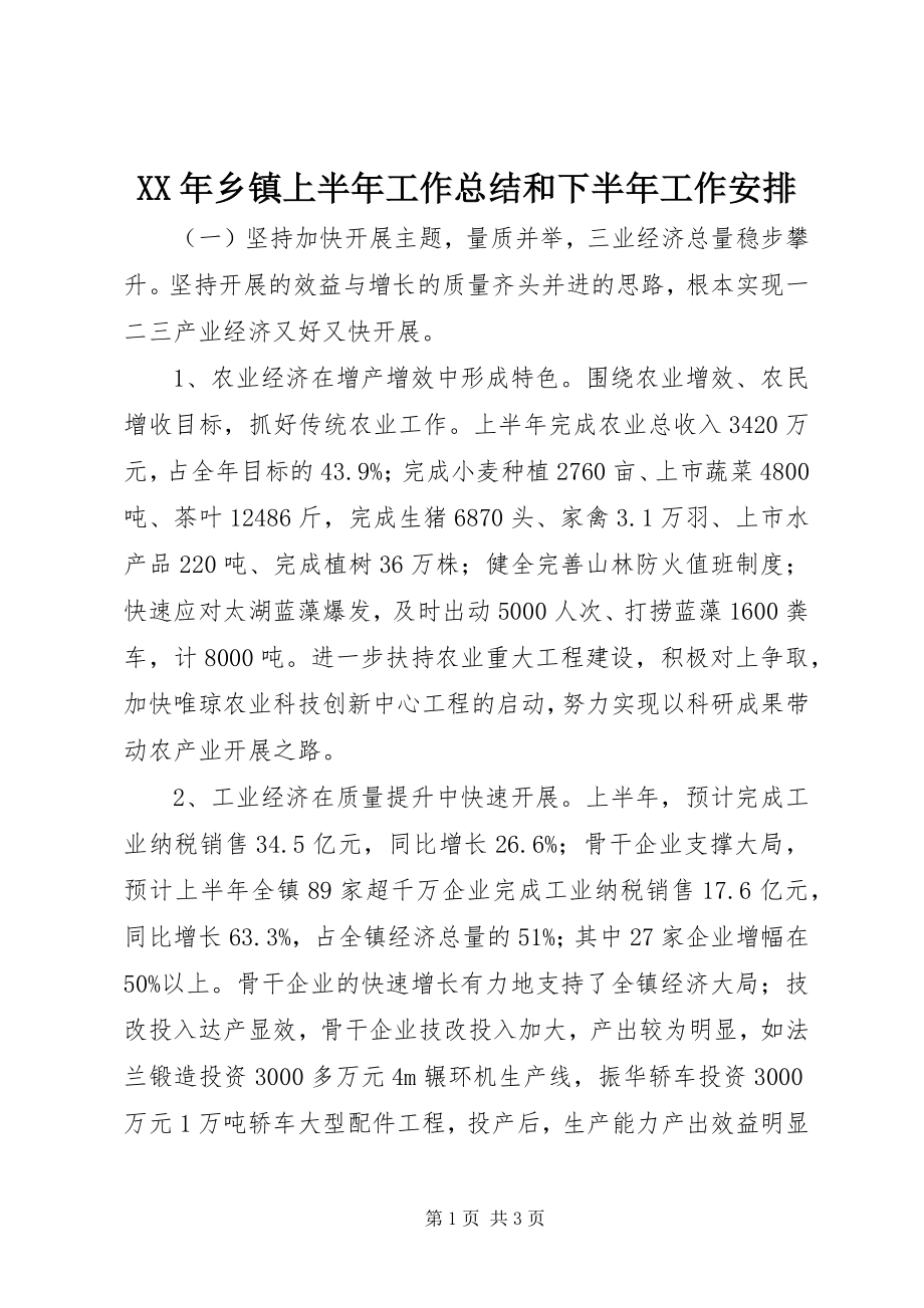 2023年乡镇上半年工作总结和下半年工作安排2.docx_第1页